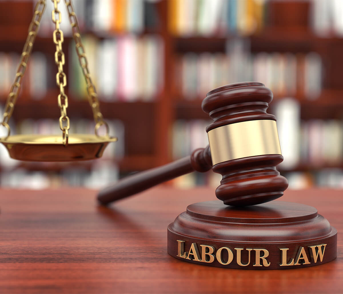 Employment Labour Lawyer